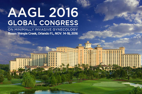 AAGL2016