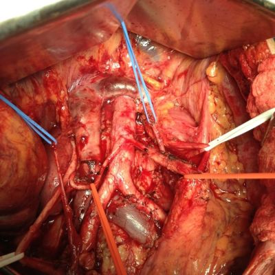 Reparos Anatomicos Min
